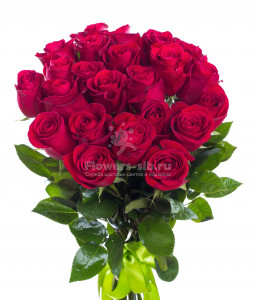 BOUQUET OF 23 ROSES